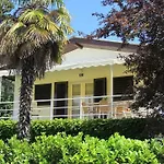 Gazde/Camere de închiriat 1