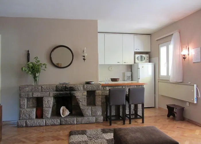 ホームステイ 1 *