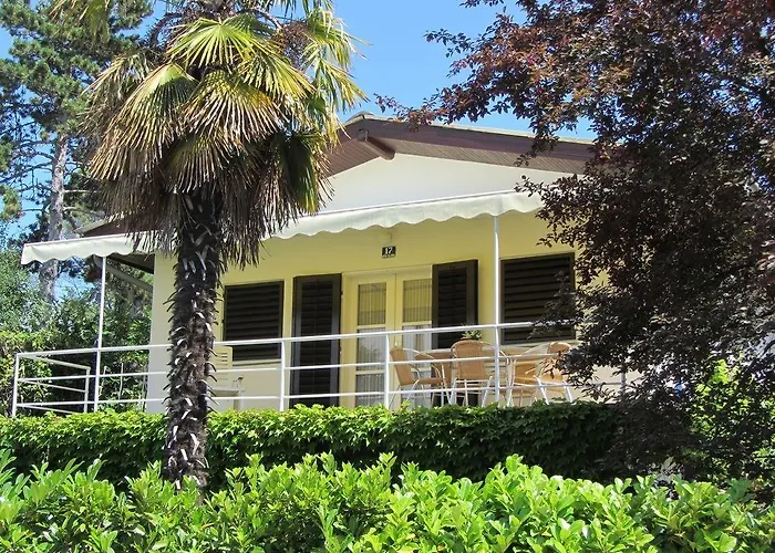 ホームステイ 1